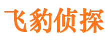 历下市私家侦探